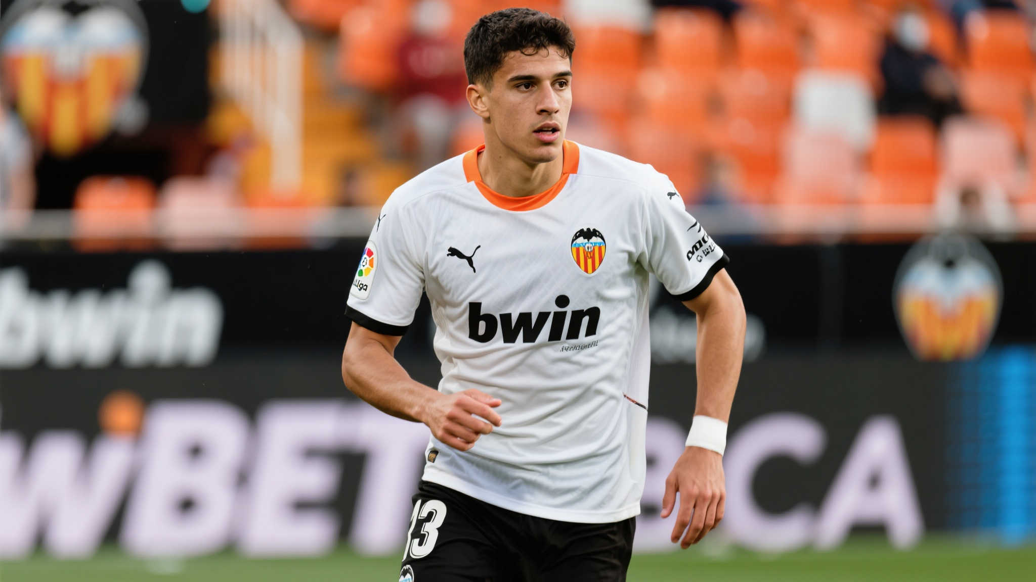 显然早已为 显然早已为