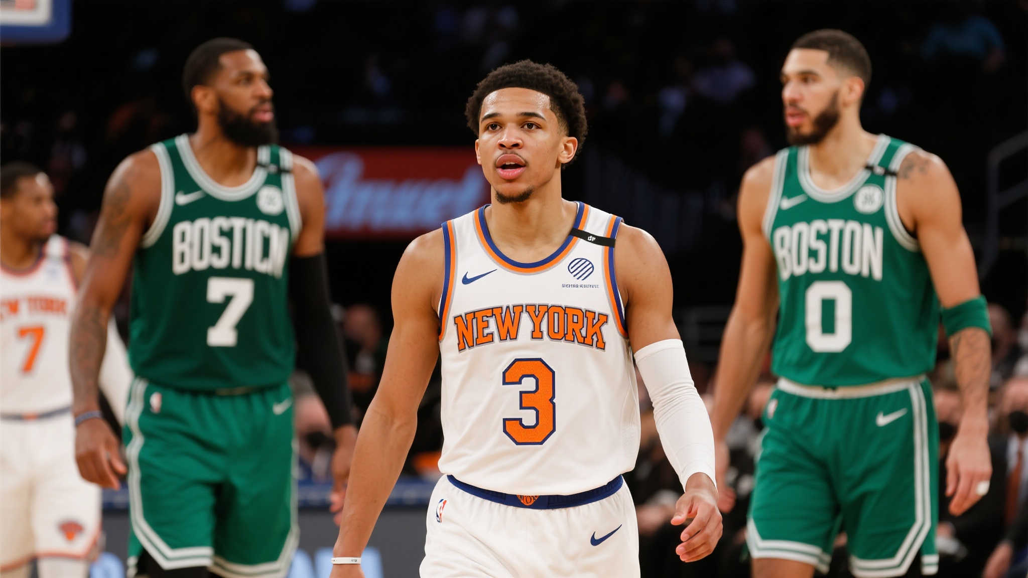 应用领域 应用领域